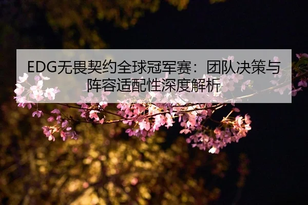 EDG无畏契约全球冠军赛：团队决策与阵容适配性深度解析